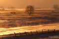 067_Biebrza - marzec 2013